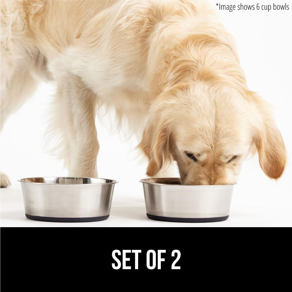 Set of 2 Dog Bowls, Heavy Duty Metal Food and Water Bowl for Feeding Dogs and Cats, Dishwasher Safe, Rust Resistant Stainless Steel, BPA Free Rubber Base, Holds 2 Cups (16 Fl Oz), Black