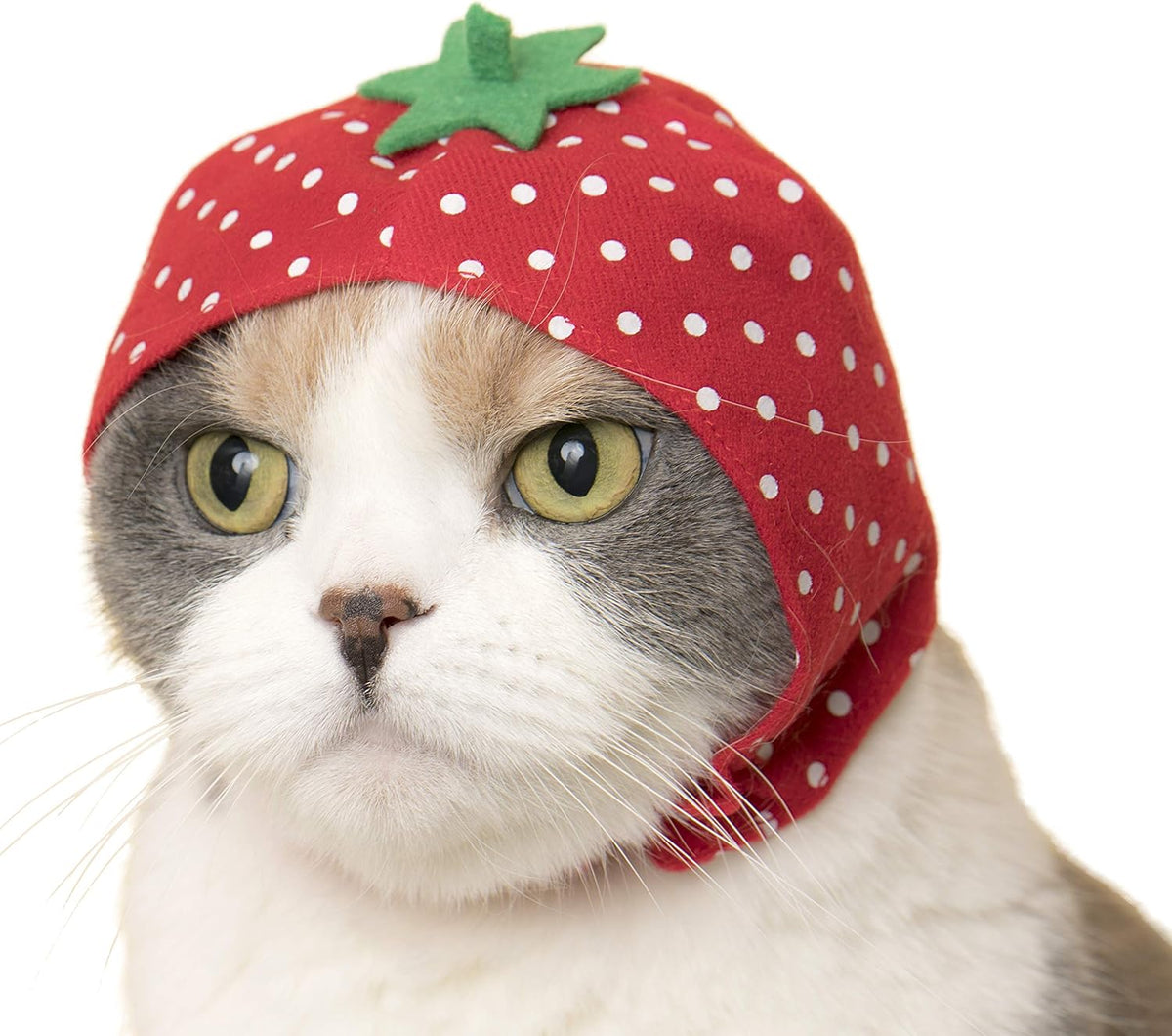 Cat Cap - Pet Hat Blind Box Includes 1 of 6 Cute Styles - Soft, Comfortable - Authentic Japanese Kawaii Design - Animal-Safe Materials, Premium Quality (Fruit)