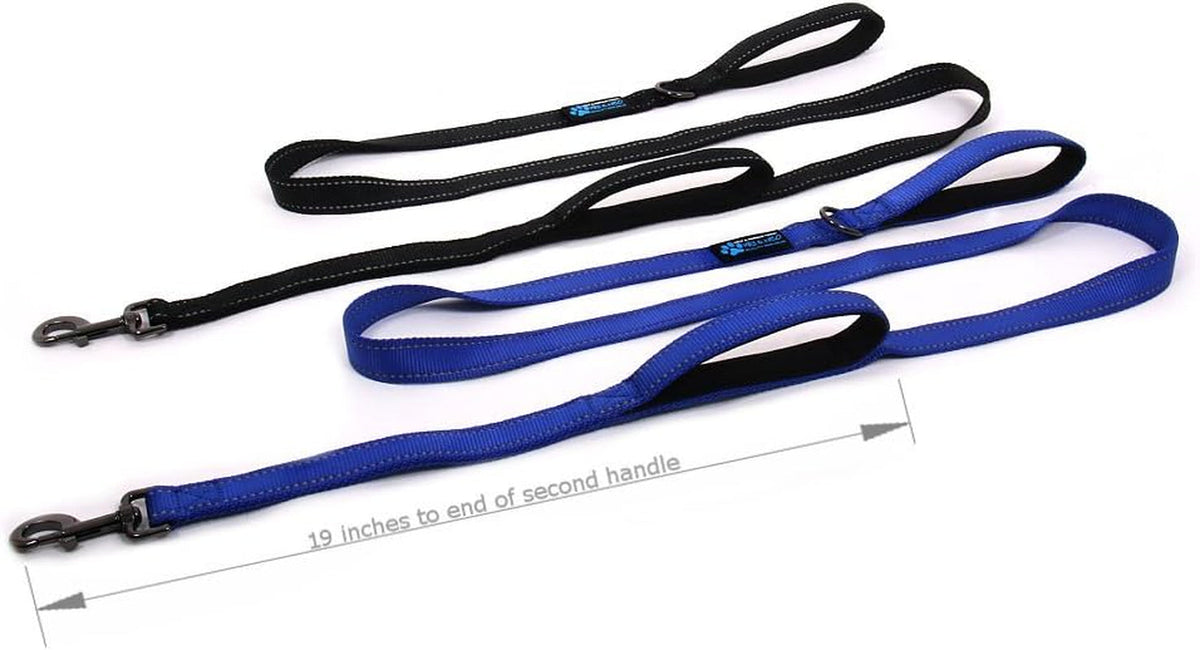 Double Handle Traffic Dog Leash Reflective - We Donate a Leash to a Dog Rescue for Every Leash Sold (Blue, 6 FT)