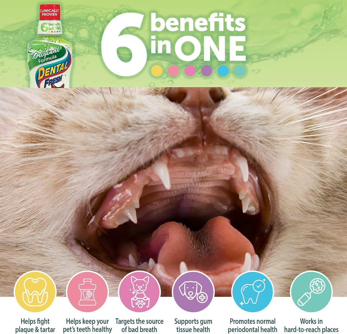 Water Additive for Cats, Original Formula, 8 Oz – Cat Breath Freshener – Products for Cats to Help Overall Cat Dental Health