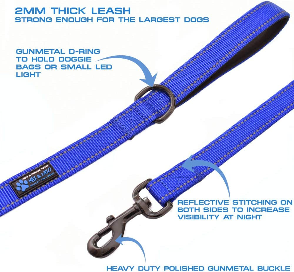 Double Handle Traffic Dog Leash Reflective - We Donate a Leash to a Dog Rescue for Every Leash Sold (Blue, 6 FT)