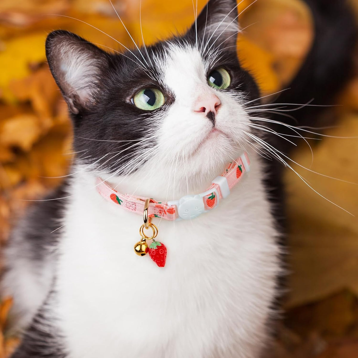 2 Pack Cotton Breakaway Cat Collar Pink Strawberries and White Heart Shaped Pendant Cute Kitten Cat Collar with Bell