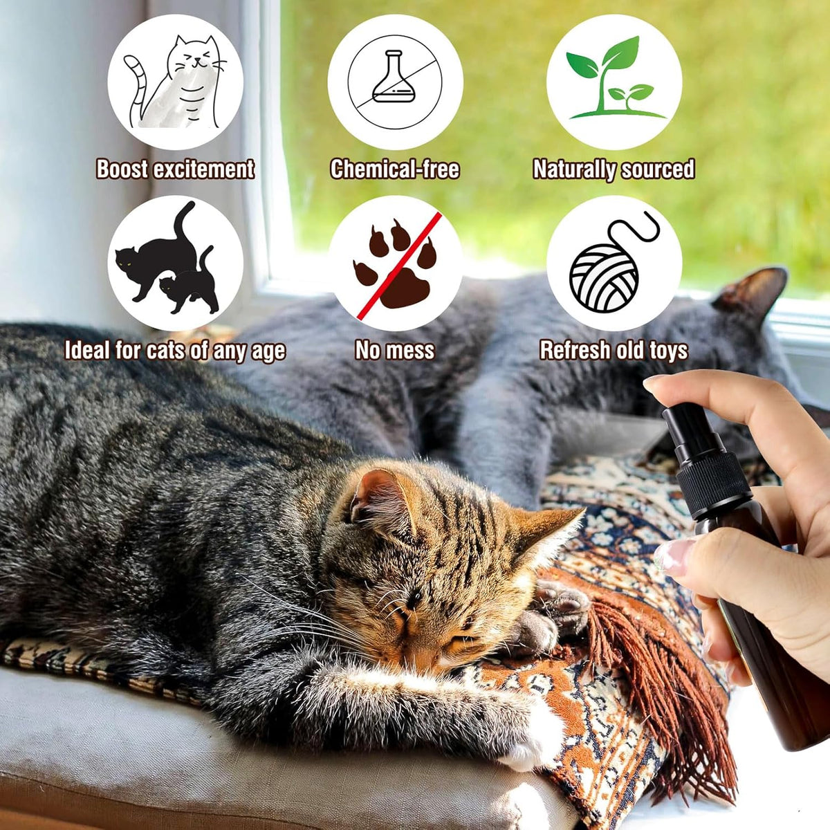 1.68 Fl Oz Silvervine Fruit Spray,Cat Training Spray with Gall Fruit,More Appealing than Catnip Spray,Improve Bad Cat Behavior