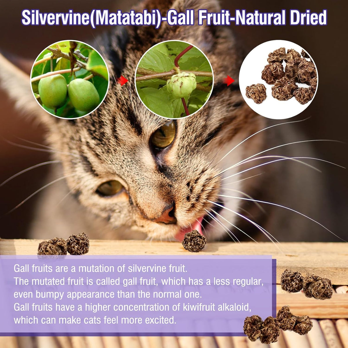 20Pcs Dried Silvervine Gall Fruit, Natural Silver Vine Cat Chew Toy, Matatabi Cat Toy for Dental Cleaning Hard Chew Cheer Up