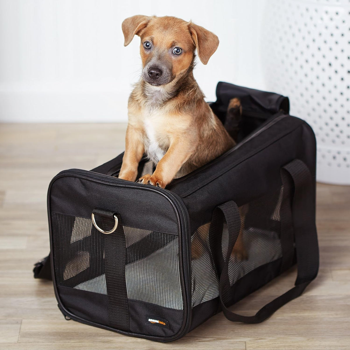 Soft-Sided Mesh Pet Travel Carrier for Dog, Cat, Medium, 16.5" L X 9.4" W X 9.8" H, Black