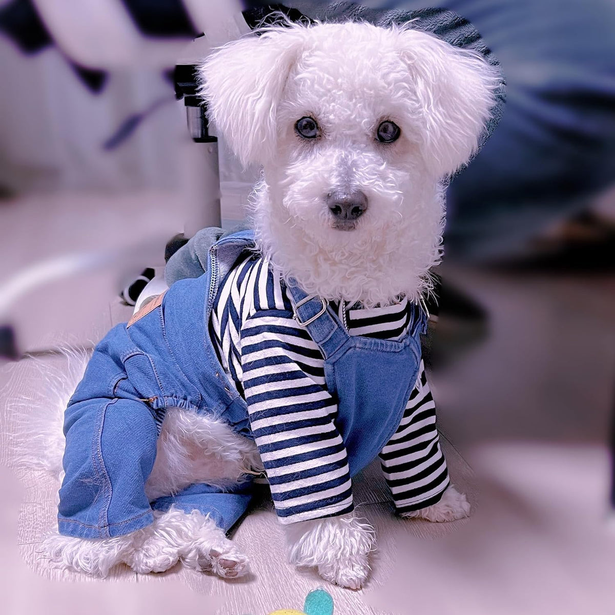 1 Piece of Dog Denim Shirts Puppy Jean Jacket Sling Jumpsuit Costumes Pet Jean Overalls Dog Pants Outfits for Small Puppy Cat Pets (Blue, Large)