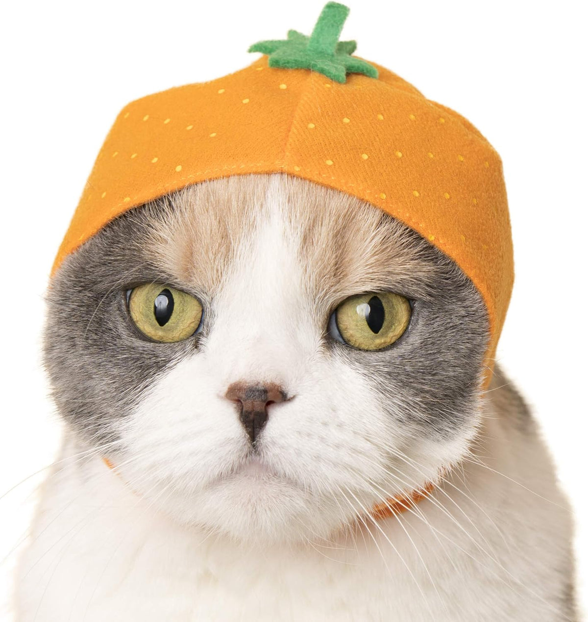 Cat Cap - Pet Hat Blind Box Includes 1 of 6 Cute Styles - Soft, Comfortable - Authentic Japanese Kawaii Design - Animal-Safe Materials, Premium Quality (Fruit)