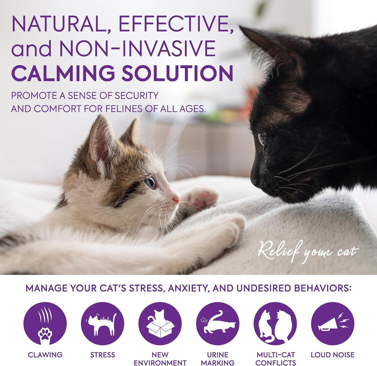 Cat Pheromones Calming Diffuser: Premium Pheromone Diffuser for Cats - Cat Pheromones Diffuser - Cat Calming Diffuser - Cat Calming Pheromone Diffuser, 2 Pack (F Purple)