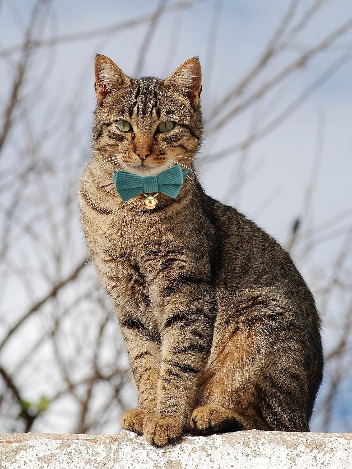 2 Pack Soft Corduroy Cat Collars with Bow Tie & Bell, Adjustable Breakaway Cotton Kitty Bowtie Collar for Girl Boy Kitten (Orange & Green)