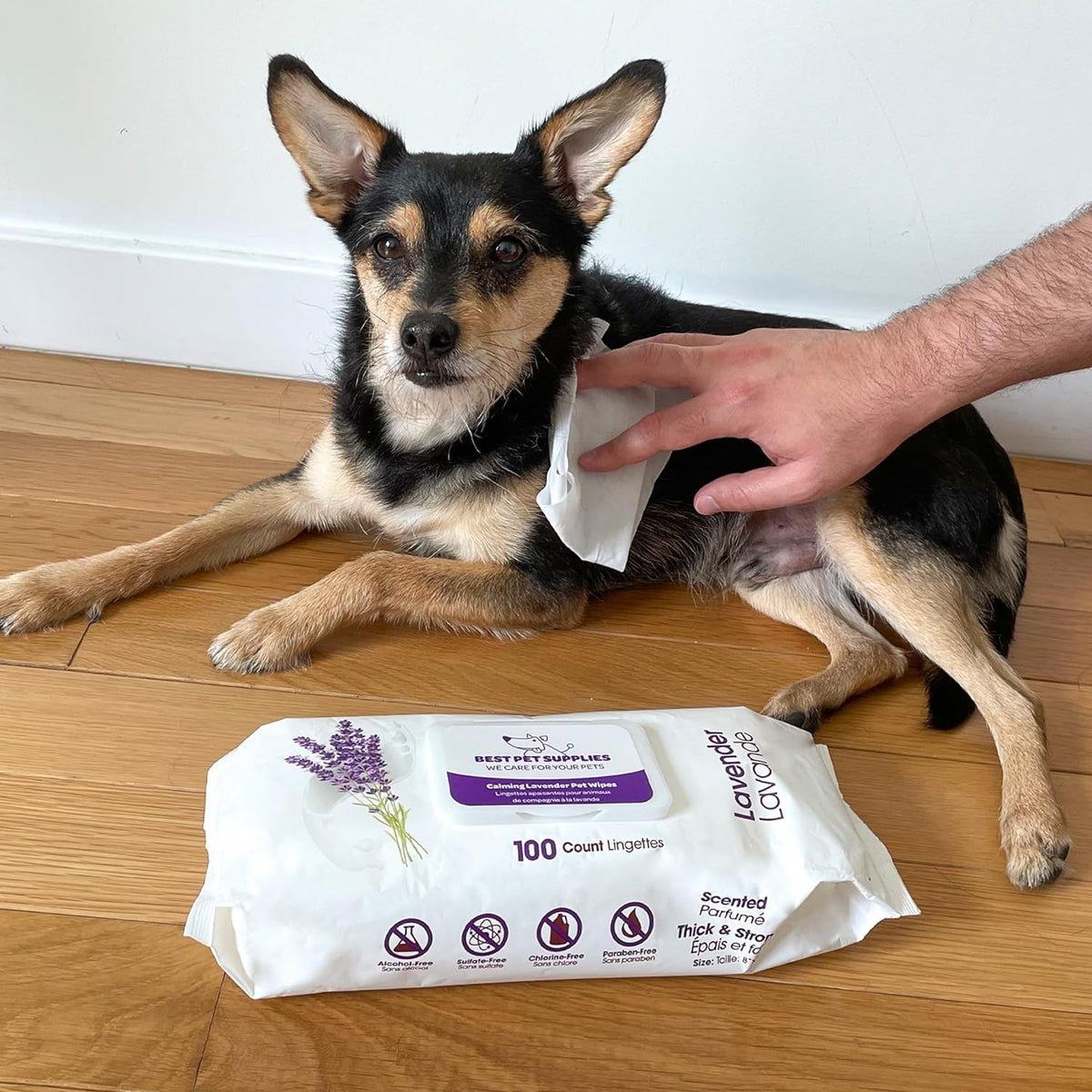 8" X 9" Pet Grooming Wipes for Dogs & Cats, 100 Pack, Plant-Based Deodorizer for Coats & Dry, Itchy, or Sensitive Skin, Clean Ears, Paws, & Butt - Calming Lavender