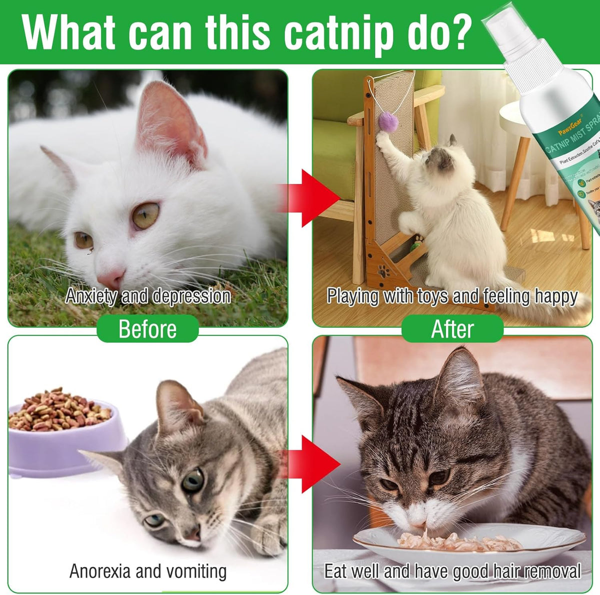 Catnip Spray, Catnip Spray for Indoor Cats, Cat Scratch Spray for Outdoor Training, Catnip for Cat Exercise, for Adult Cats and Kittens