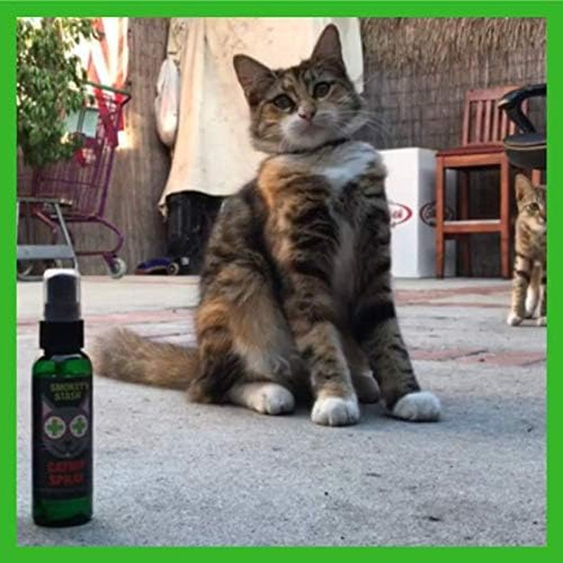 Catnip Spray for Cats from 2 Ounce Fresh Premium Maximum Potency Nip Treat