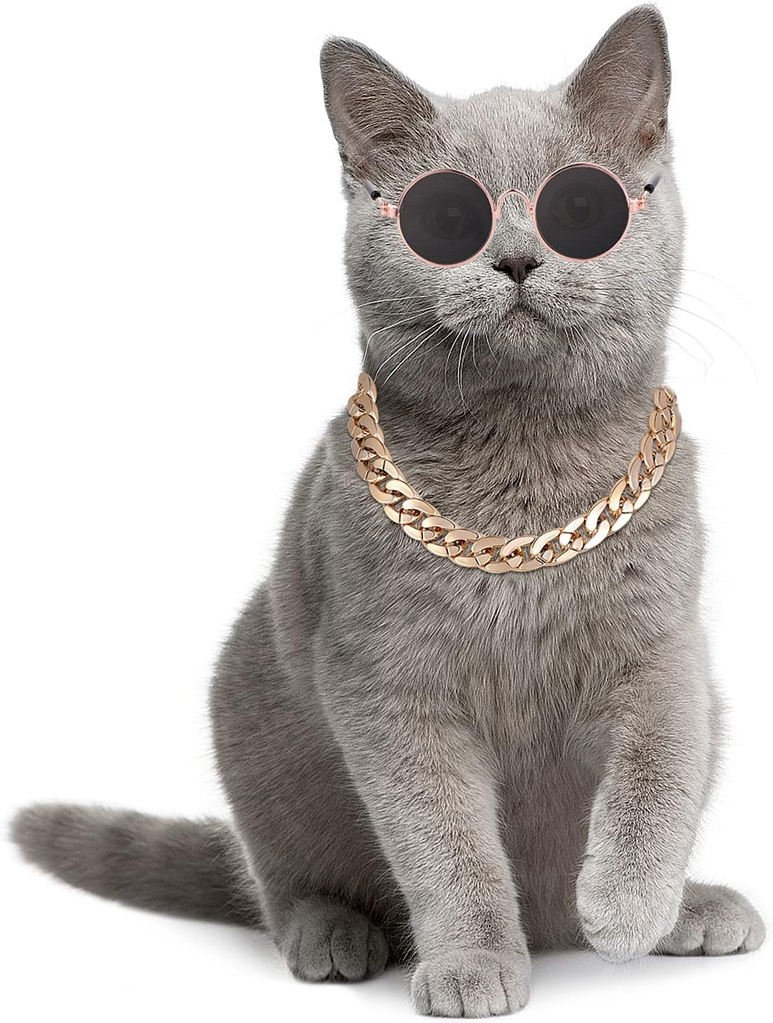 Cat Sunglasses Gold Chain Costume Decorations UV Protection Classic Retro Puppy Retro Sunglasses Faux Photo Props