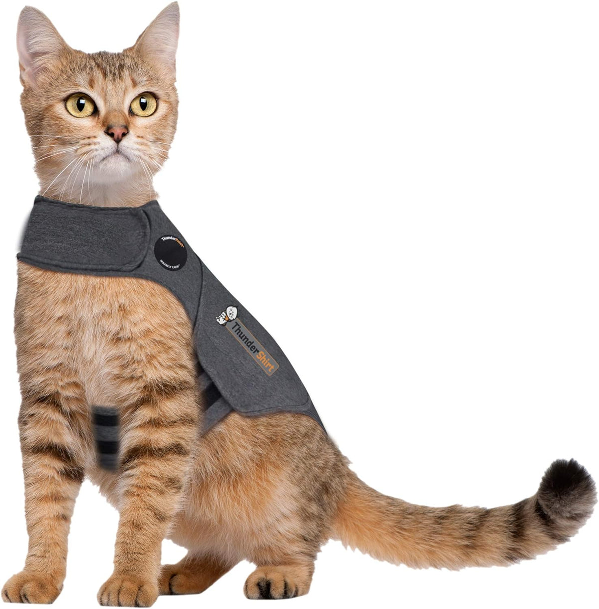 Classic Cat Anxiety Jacket, Heather Gray, Medium (9 to 13 Lbs), THU-009