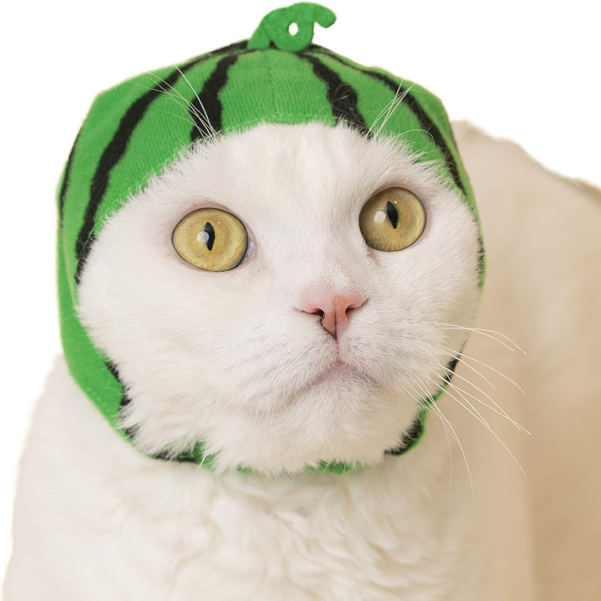 Cat Cap - Pet Hat Blind Box Includes 1 of 6 Cute Styles - Soft, Comfortable - Authentic Japanese Kawaii Design - Animal-Safe Materials, Premium Quality (Fruit)