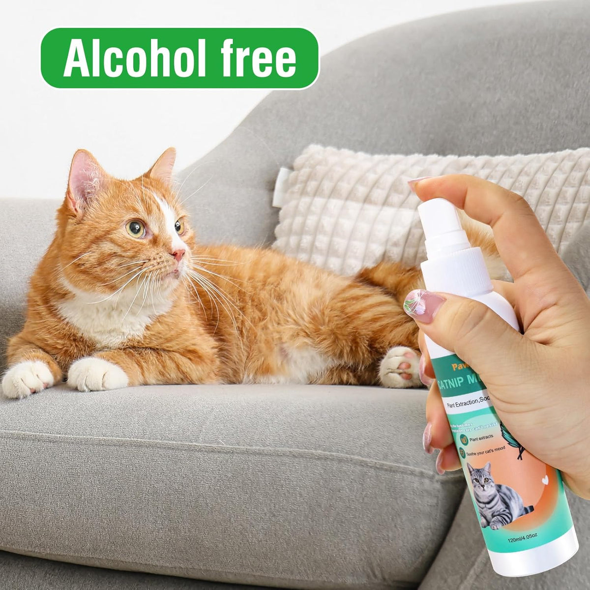 Catnip Spray, Catnip Spray for Indoor Cats, Cat Scratch Spray for Outdoor Training, Catnip for Cat Exercise, for Adult Cats and Kittens