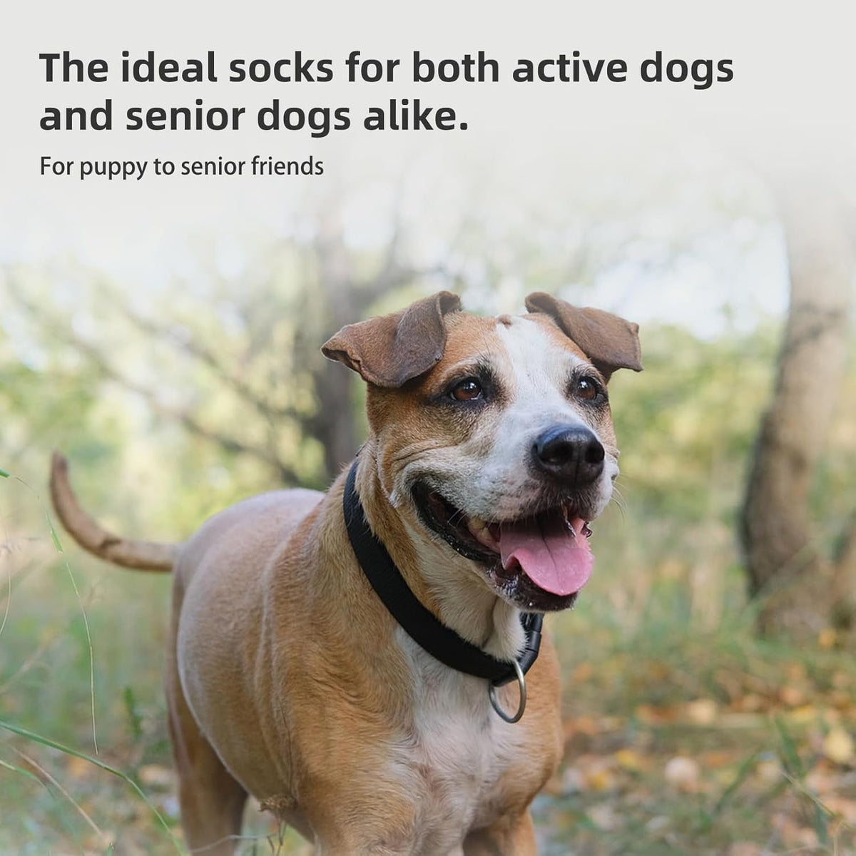 Anti-Slip Dog Socks with Double Sides Grips for Small Medium Large Dogs Hardwood Floors Prevents Licking, Dog Shoes for Hot Pavement Traction Control Paw Protector for Senior Dogs, Grey M