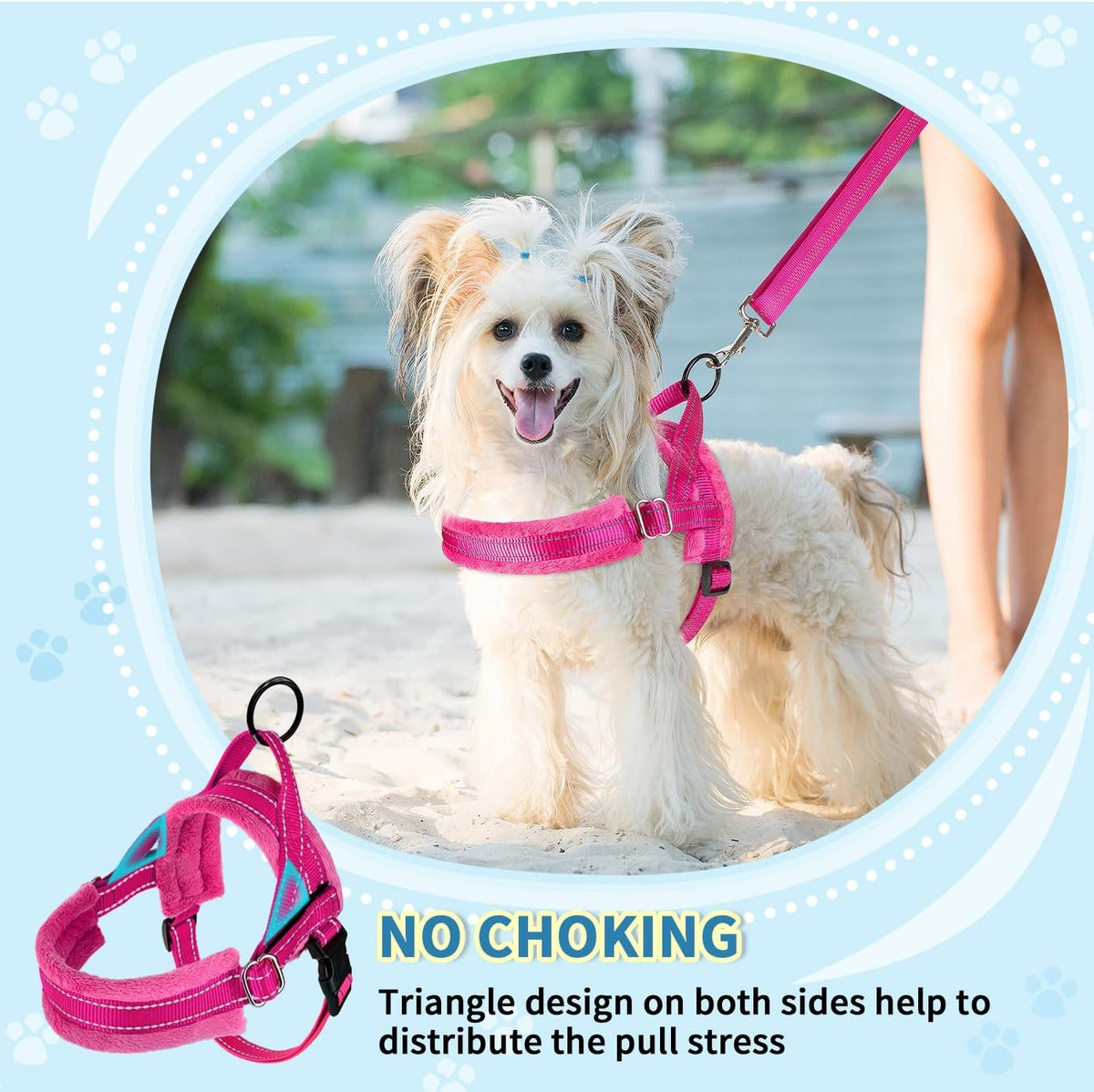 No Pull Small Dog Harness and Leash Set, Puppy Soft Vest Harness Neck & Chest Adjustable, Reflective Lightweight Harness & Anti-Twist Pet Lead Combo for Small Medium Dogs (Fuchsia, XXS)