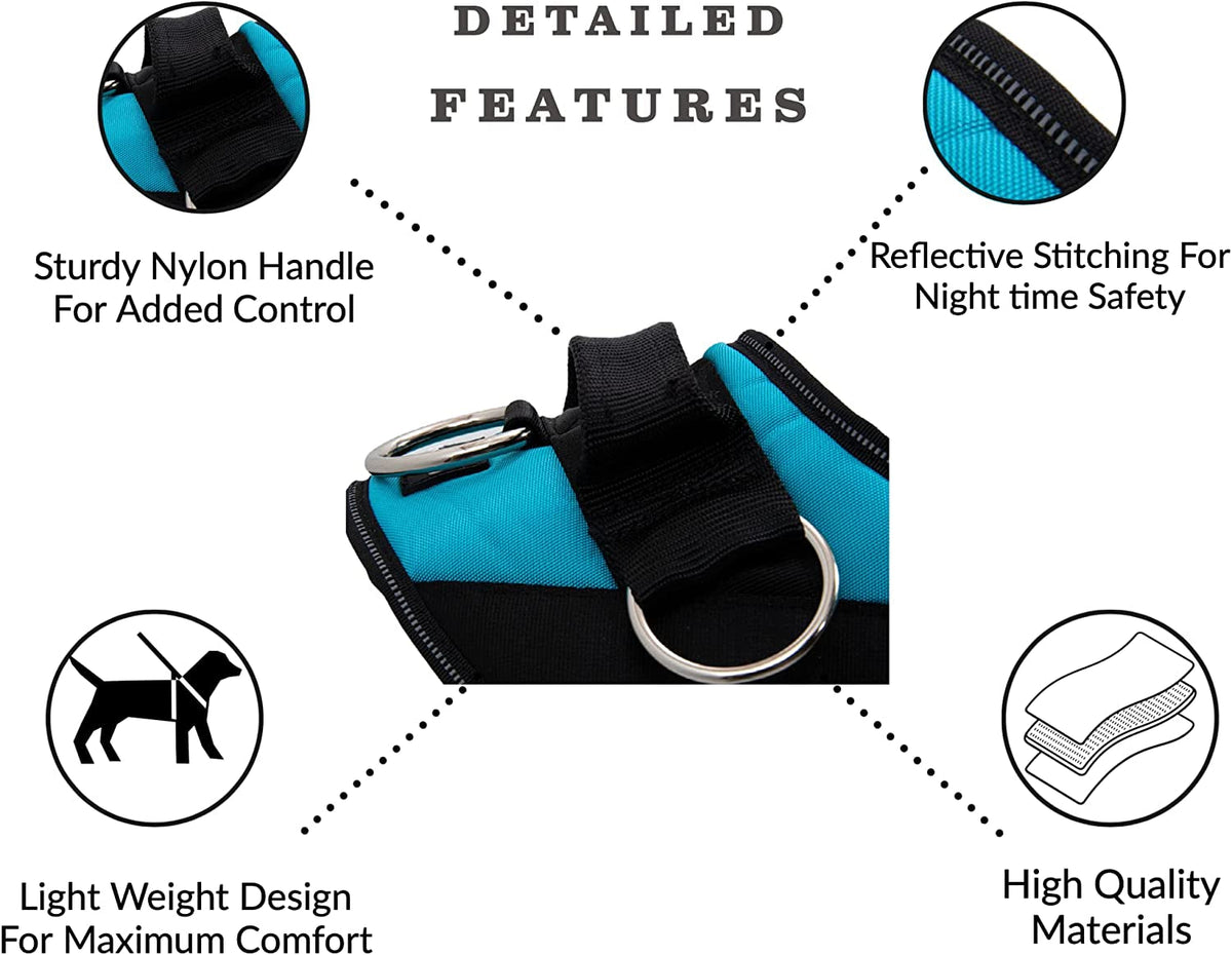 Essential Dog Harness, No-Pull Pet Vest with 3 Leash Clips, No Choke, Reflective, Adjustable and Padded, for Easy Walking and Training for Small, Medium and Large Dogs (Oceanic Blue, S)