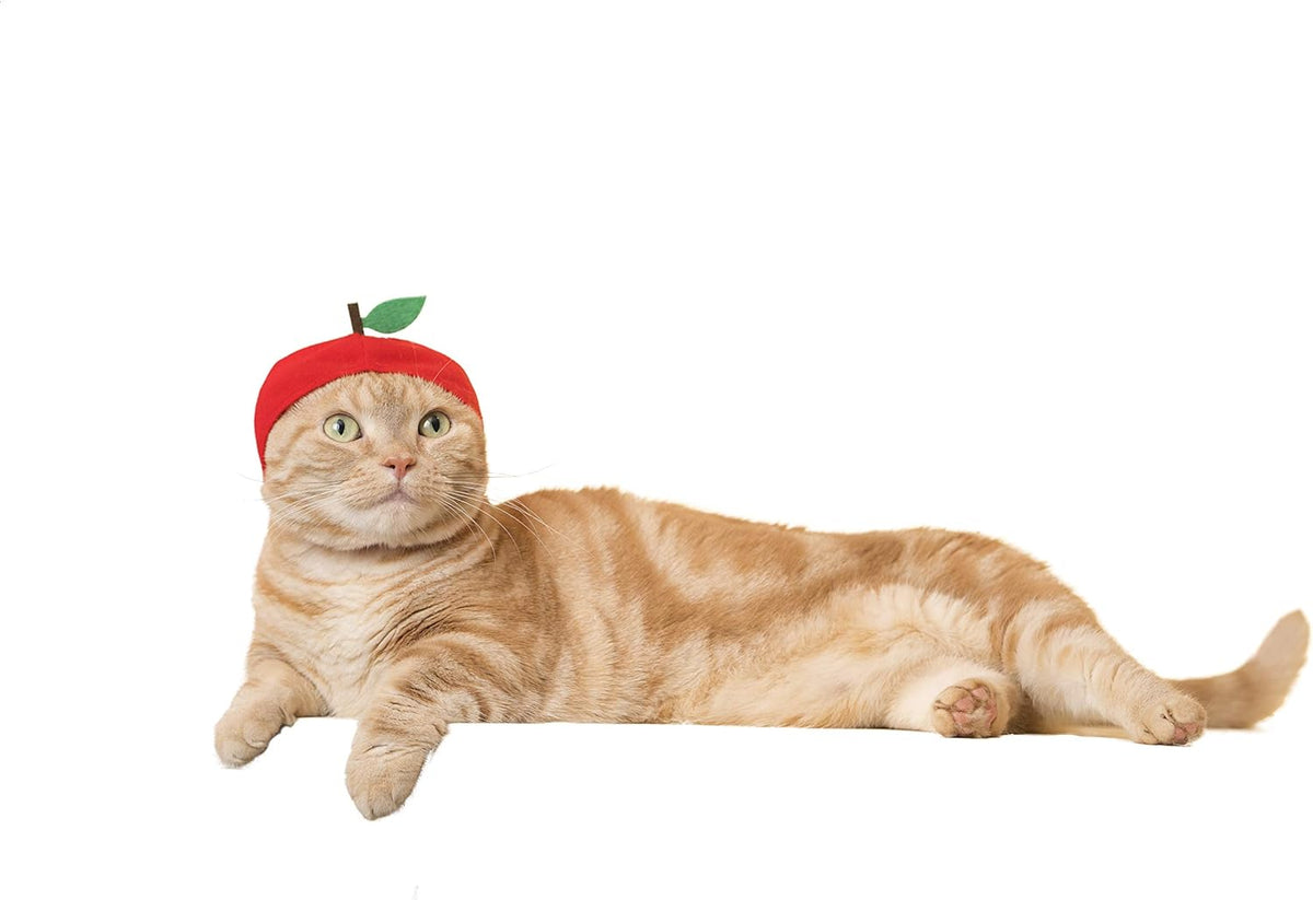 Cat Cap - Pet Hat Blind Box Includes 1 of 6 Cute Styles - Soft, Comfortable - Authentic Japanese Kawaii Design - Animal-Safe Materials, Premium Quality (Fruit)