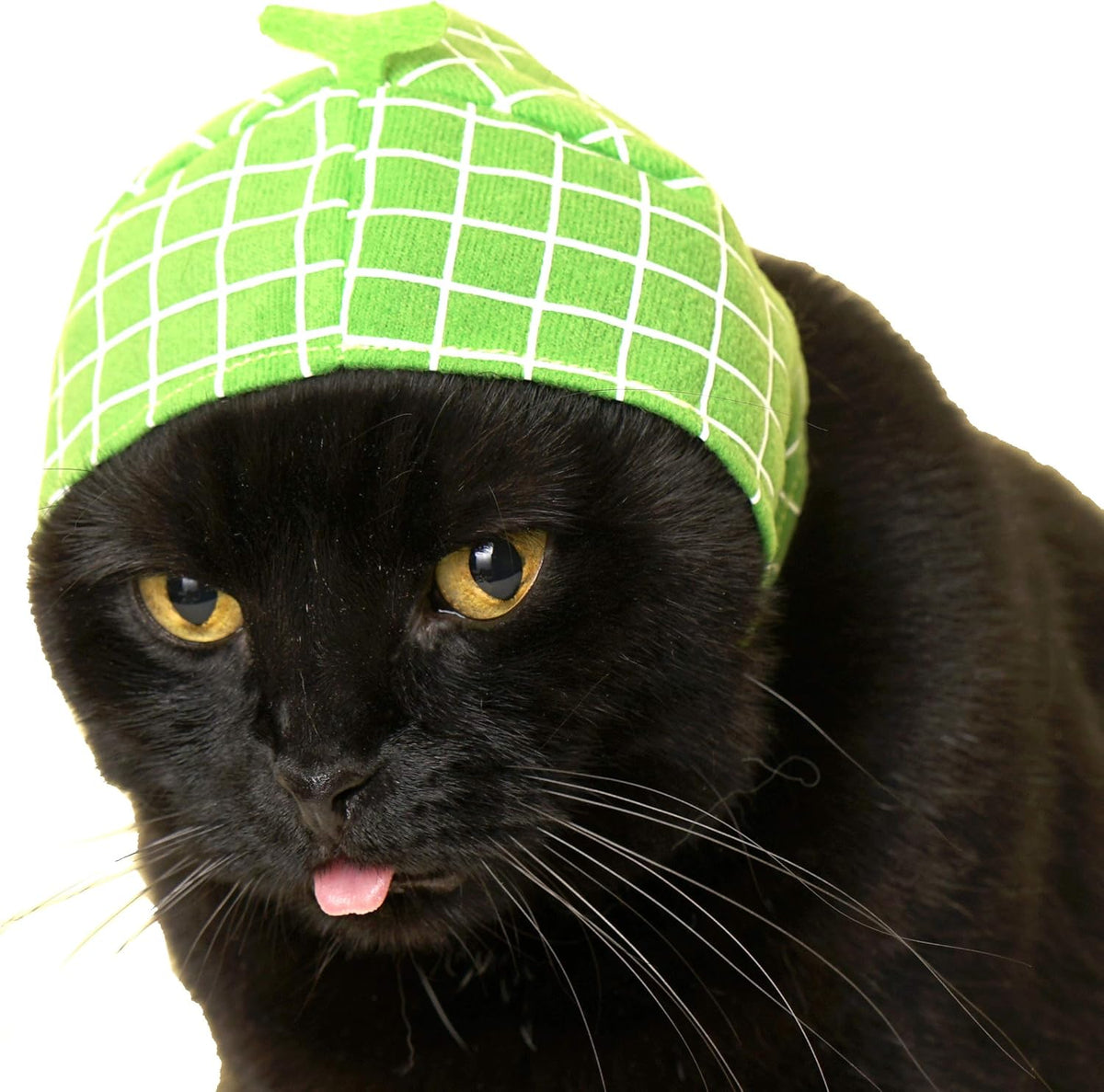 Cat Cap - Pet Hat Blind Box Includes 1 of 6 Cute Styles - Soft, Comfortable - Authentic Japanese Kawaii Design - Animal-Safe Materials, Premium Quality (Fruit)