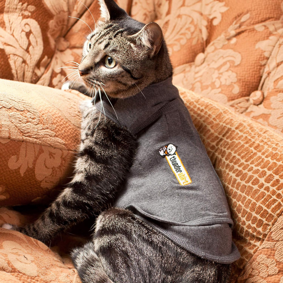 Classic Cat Anxiety Jacket, Heather Gray, Medium (9 to 13 Lbs), THU-009