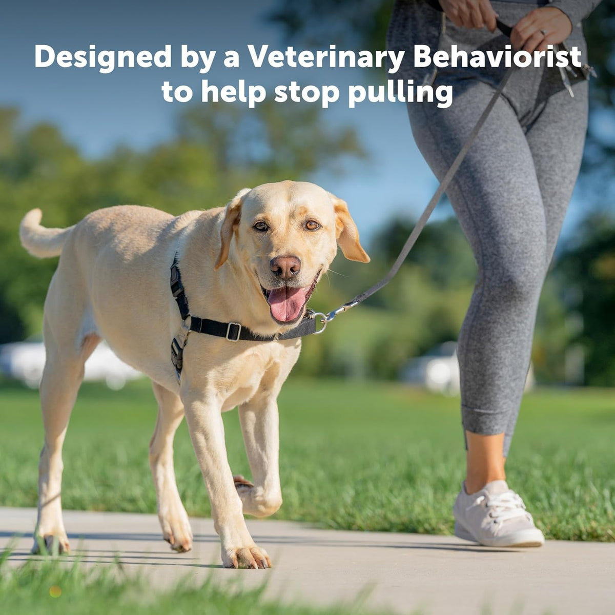 Easy Walk No-Pull Dog Harness - the Ultimate Harness to Help Stop Pulling - Take Control & Teach Better Leash Manners - Helps Prevent Pets Pulling on Walks, Medium, Red/Black