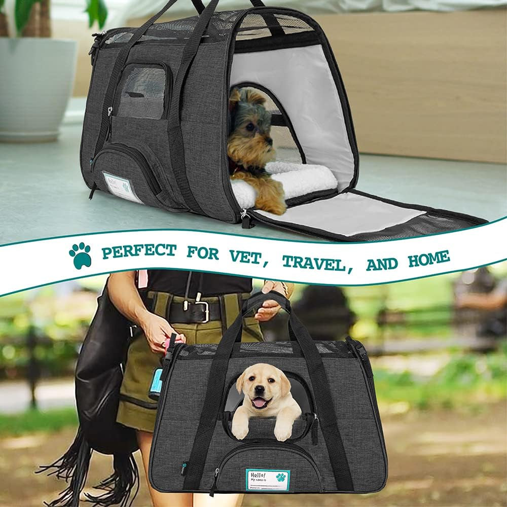 Airline Approved Pet Carrier for Cat, Soft Sided Dog Carrier for Small Dog, Cat Travel Supplies Accessories Indoor Cats, Ventilated Pet Carrying Bag Medium Kitten Puppy, Large Heather Dark Gray