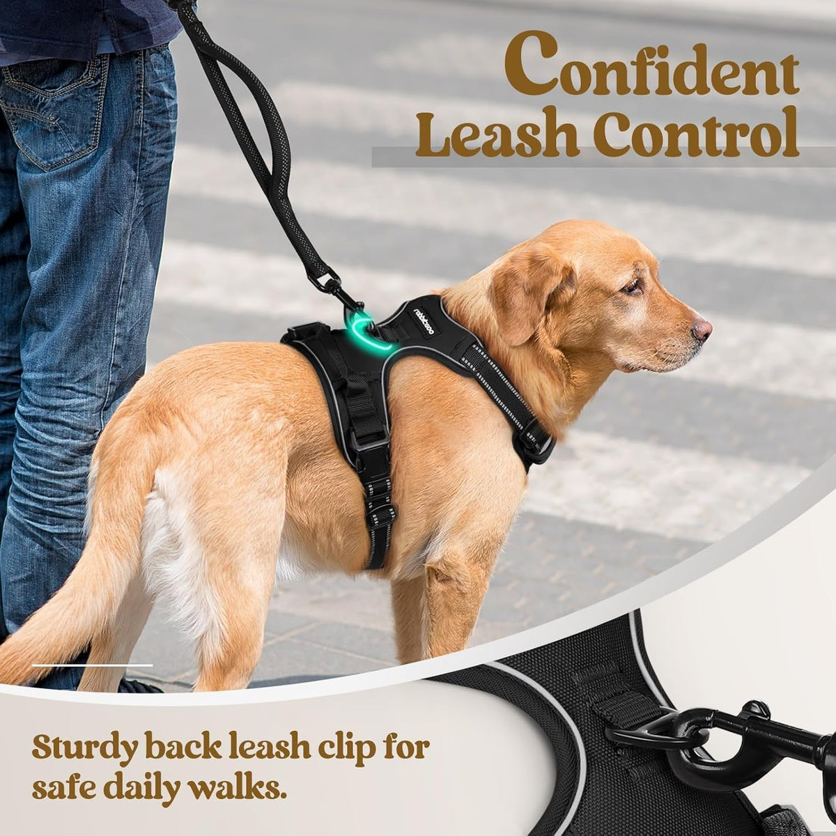 Dog Harness No Pull with 2 Leash Clips, Adjustable Soft Padded, Reflective Oxford No Choke Pet Vest with Easy Control Handle for Large Dogs, Black, L