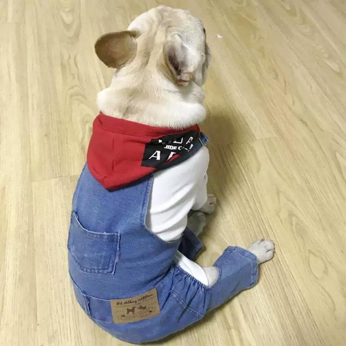 1 Piece of Dog Denim Shirts Puppy Jean Jacket Sling Jumpsuit Costumes Pet Jean Overalls Dog Pants Outfits for Small Puppy Cat Pets (Blue, Large)