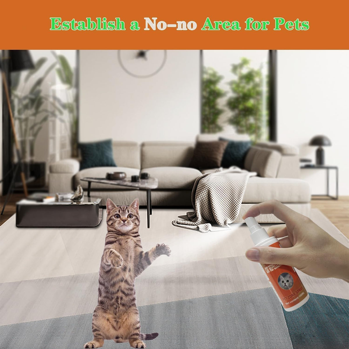 Cat Deterrent Spray, Effective Cat Spray for anti Cats Scratch Furniture, Curtain, Sofa and Plant, Cat Scratch Deterrent Aid for Pet Behavior Training, Indoor & Outdoor (2 Pack *100ML)