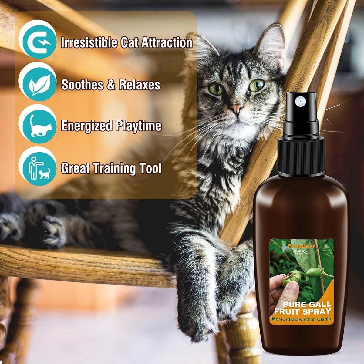 1.68 Fl Oz Silvervine Fruit Spray,Cat Training Spray with Gall Fruit,More Appealing than Catnip Spray,Improve Bad Cat Behavior