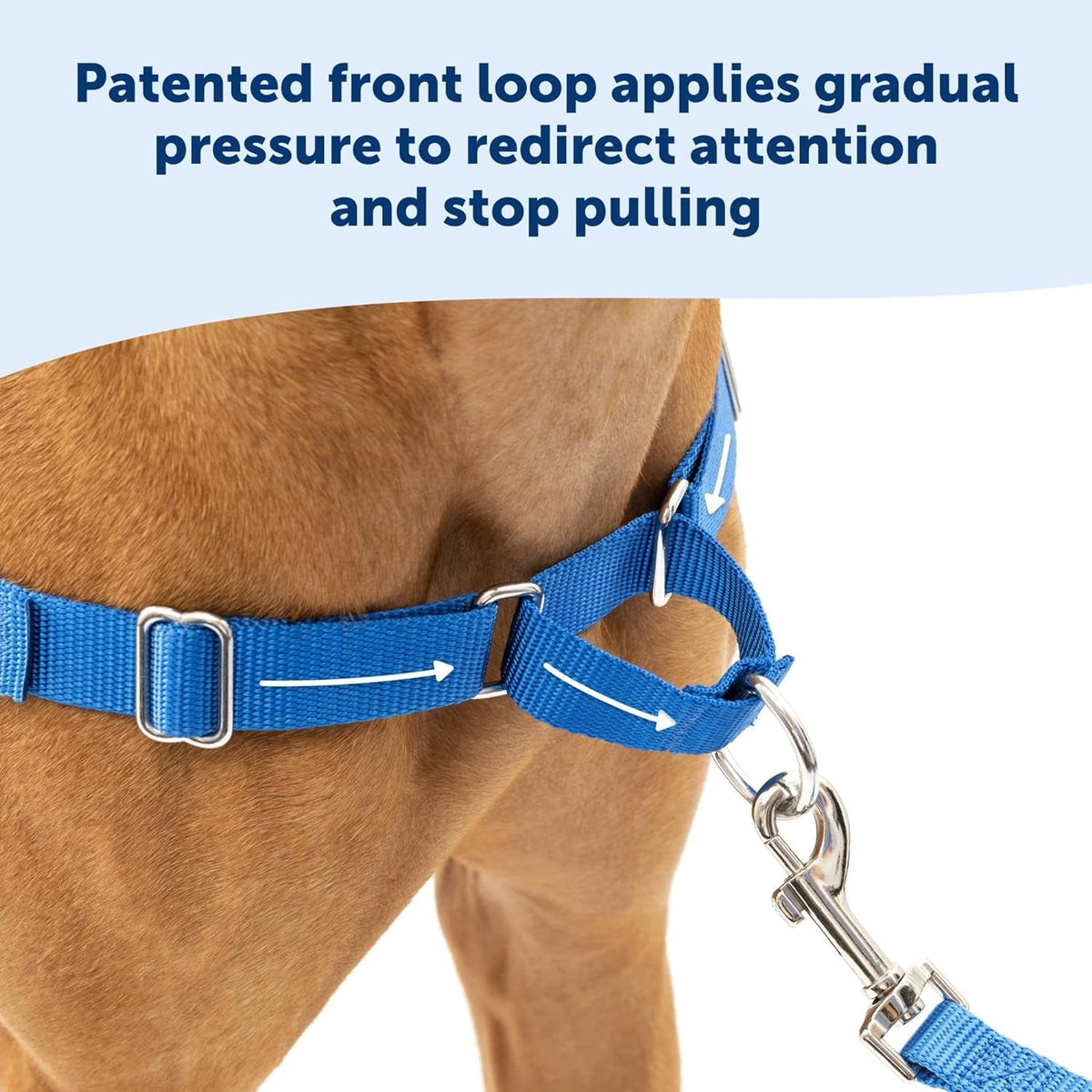 Easy Walk No-Pull Dog Harness - the Ultimate Harness to Help Stop Pulling - Take Control & Teach Better Leash Manners - Helps Prevent Pets Pulling on Walks, Medium, Red/Black