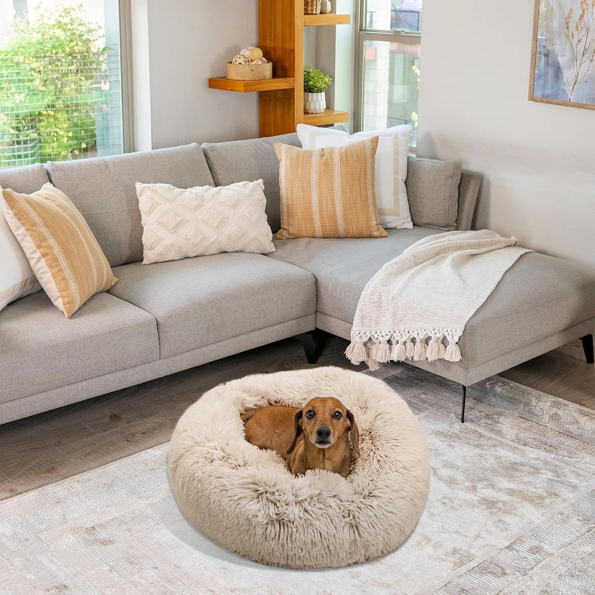 the Original Calming Donut Dog and Cat Bed in Shag Fur, Taupe, Small, 23X23